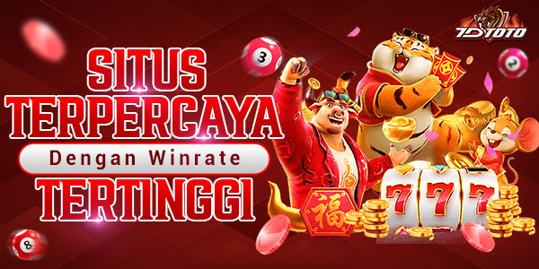 7D SITSU TERPERCAYA